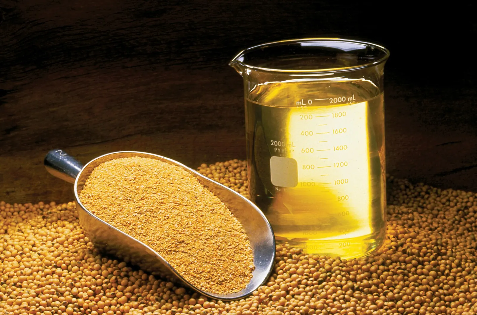 چربی محافظت‌شده (بای‌پس) گاو شیری